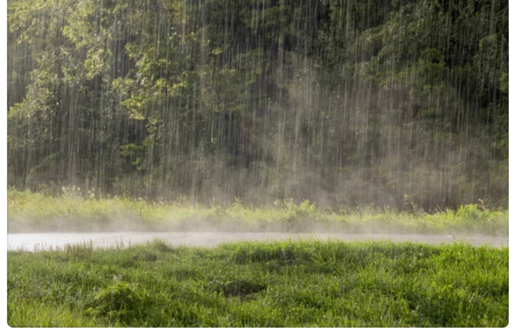 ଦକ୍ଷିଣ ଆଣ୍ଡାମାନ ସାଗରରେ ଘୂର୍ଣ୍ଣିବଳୟ ସକ୍ରିୟ, ଓଡ଼ିଶାରେ ଜାରିହେଲା  ସତର୍କତା