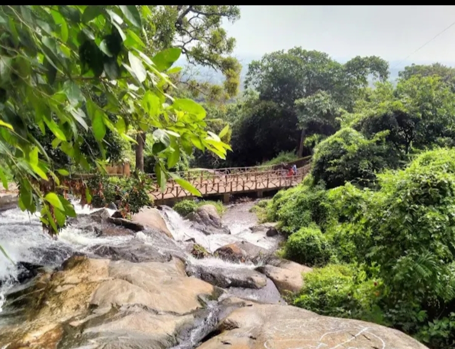 ପହିଲାରୁ ଖୋଲିବ କୁଲଡିହା: ପର୍ଯ୍ୟଟକ ଆଗ୍ରହୀ, ବିକାଶରେ ବନ ବିଭାଗର ଅବହେଳା